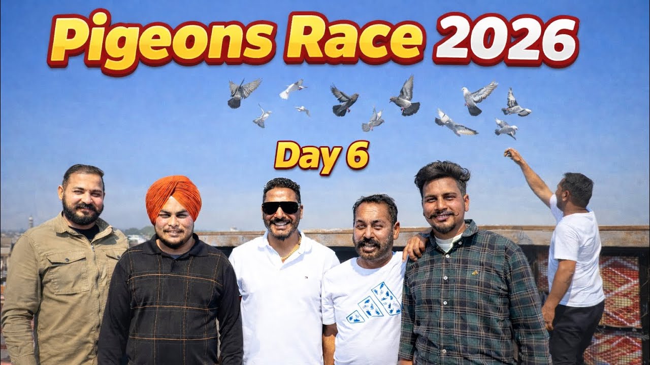 Patiala Pigeon Race Tournament 2026 Vicky USA (Maan party) 