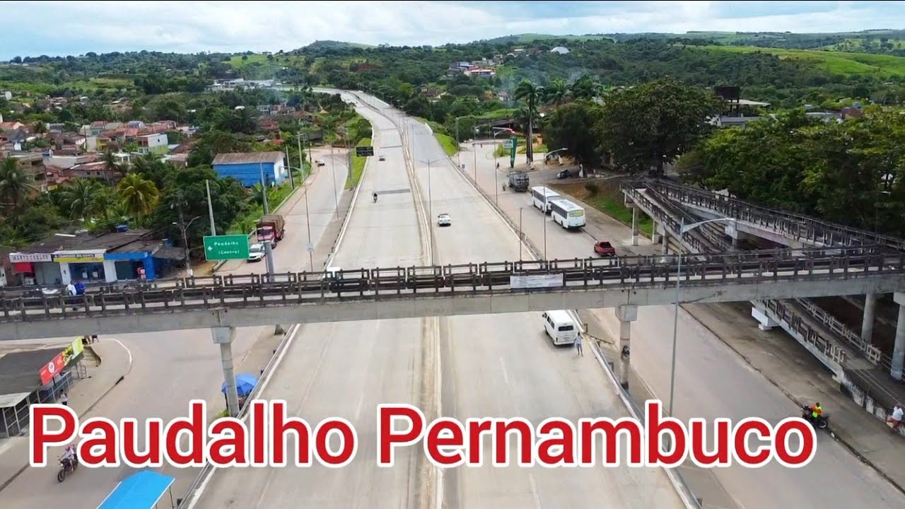 PAUDALHO PERNAMBUCO