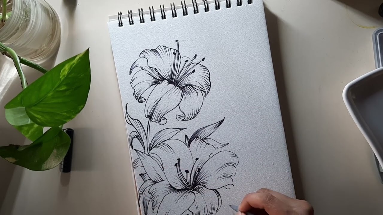 Line art-6/ Design/Lily flower /Line and Watercolor wash/wash/ Watercolor