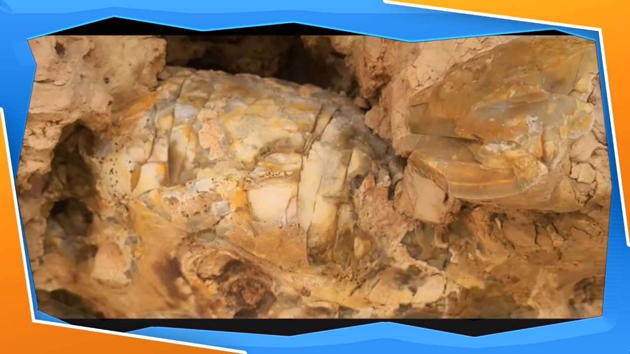 Jasper Caves and Desert Rocks | Collecting Rocks in the Pryor Mountains