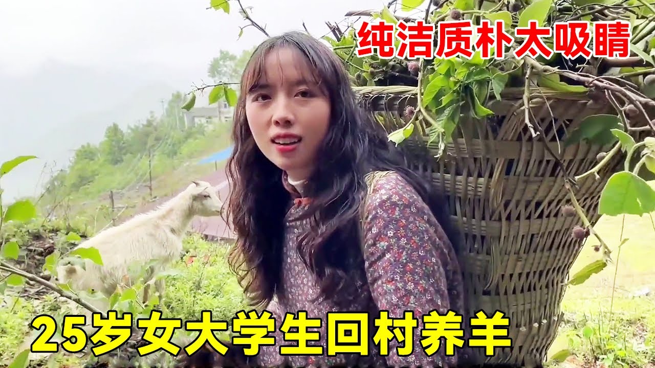 25岁单身女大学生，坚持自己回村养羊，纯洁质朴干活利索太吸引人了！【大超走四方】