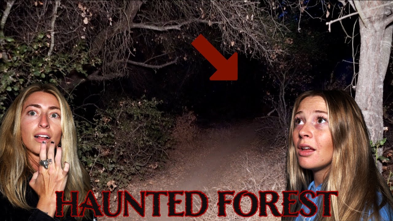 Investigating The Most Haunted Forest in California... *Physical Evidence*  | Elfin Forest |