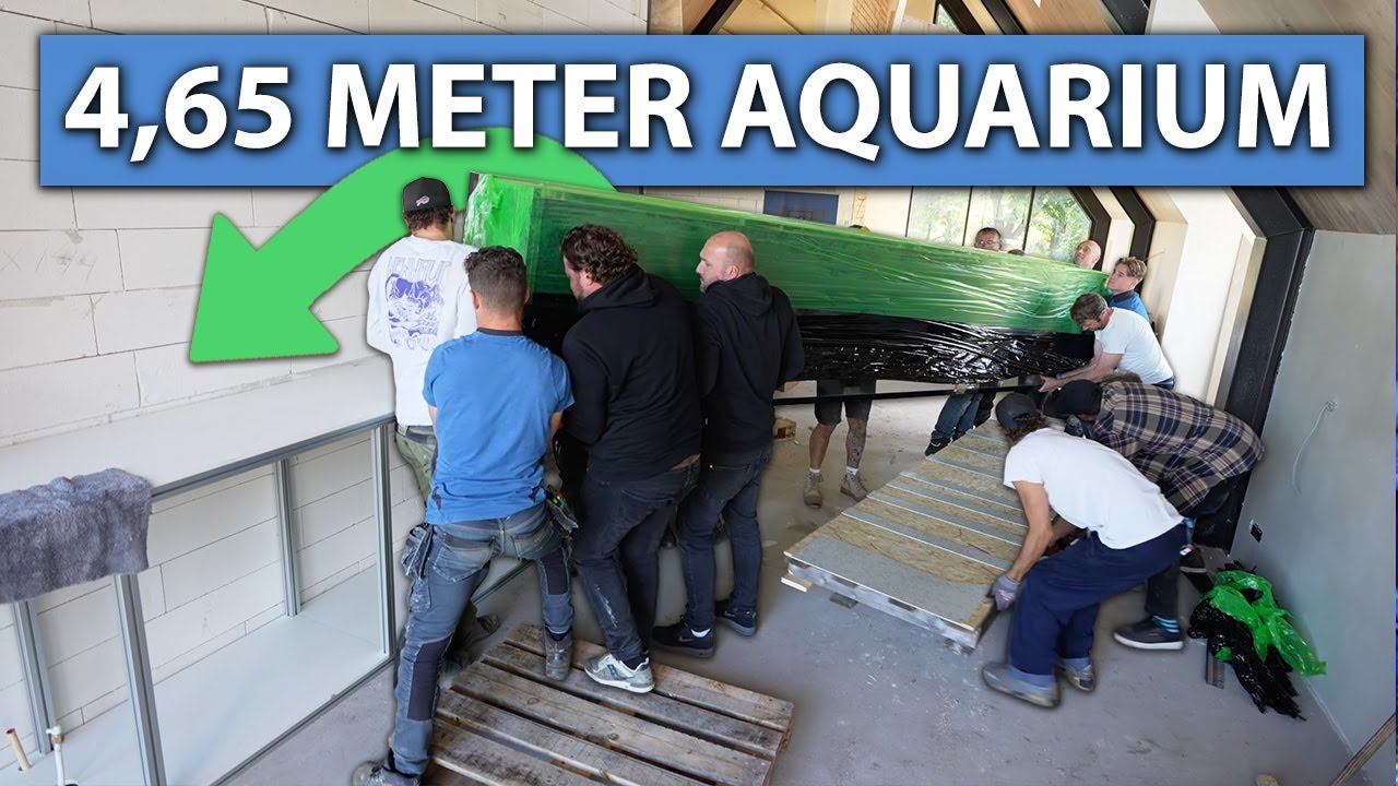 2.500 Liter Becken über den Balkon ins Haus! - Wir brauchen SCHON WIEDER einen Kran!