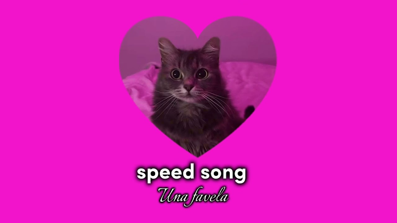 Qodës - Una Favela (Speed song)