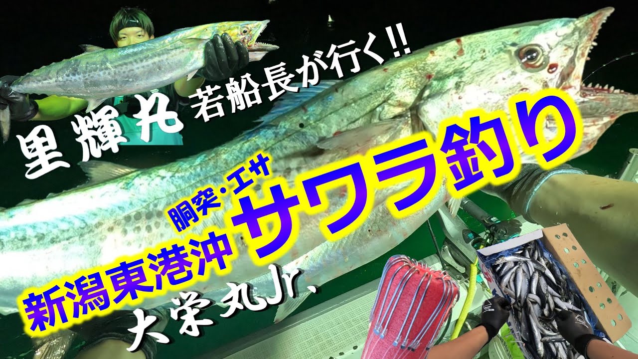 若船長の遠征釣行❗️狙うは巨大サワラ大漁です‼️