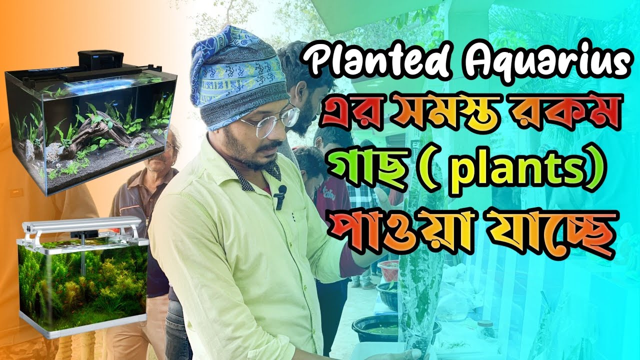 Aquarium plants পাওয়া যাচ্ছে  শ্রীরামপুর হাটে |Serampore Aquarium Fish Market