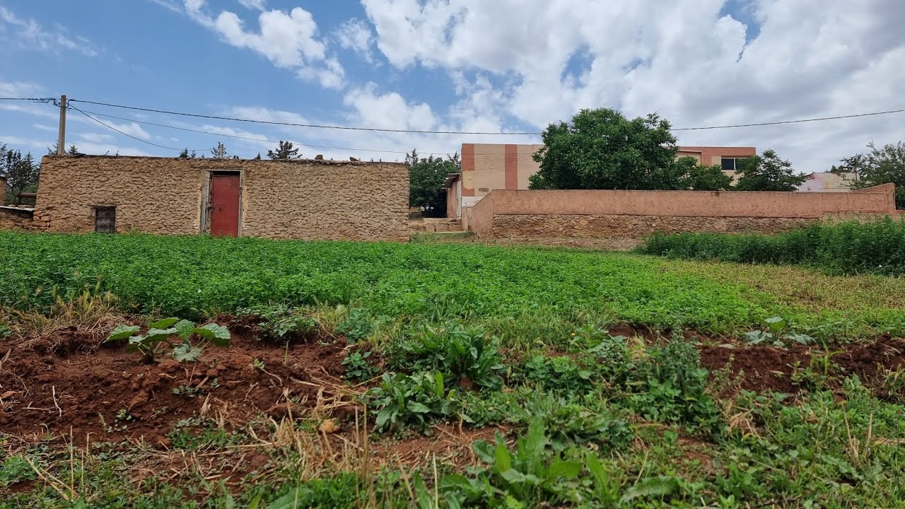 ضيعة فلاحية محفظة للبيع بين مكناس و الحاجب آيت نعمان و آيت سعيد  FERME À VENDRE ENTRE HAJEB MEKNÈS