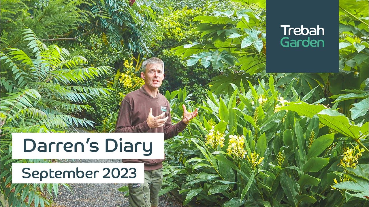 Sub-tropical Scent & Splendour | September 2023 | Darren's Diary