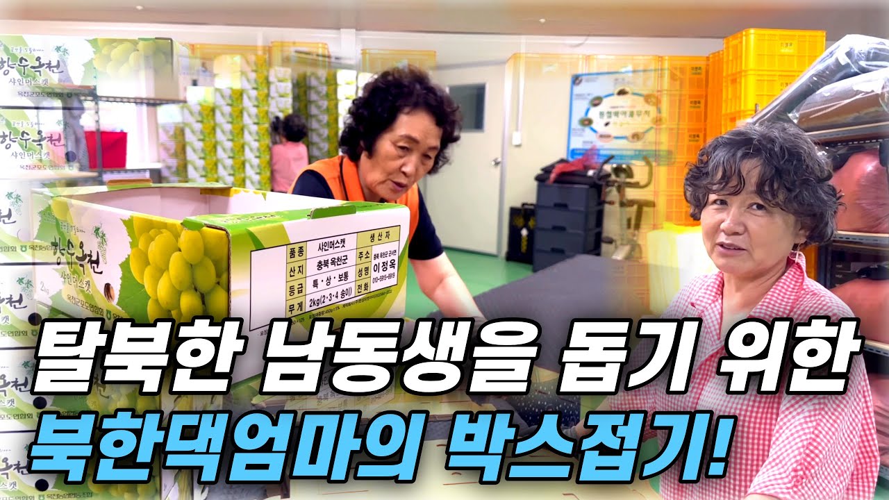 북한에서 온 엄마는 탈북 후 한국에서 열심히 살고 있는 남동생의 농사 일을 잘 도울 수 있을까요? #탈북민#탈북민유튜버#탈북민여행#탈북스토리#
