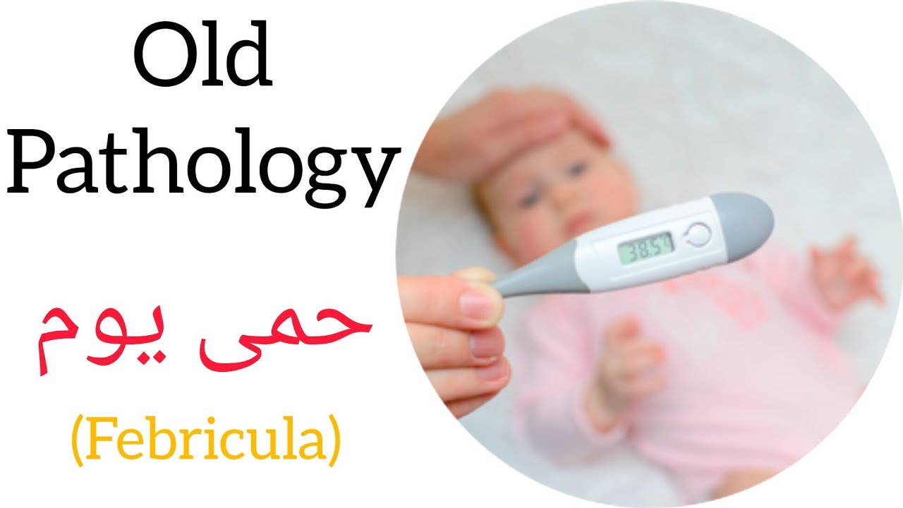 Febricula (حمی یوم) | Old Pathology | Lecture - 22