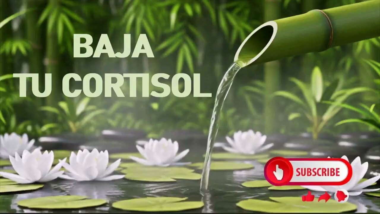 🧘🏻MEDITA🧘🏻 Y BAJA TU 😰CORTISOL😰