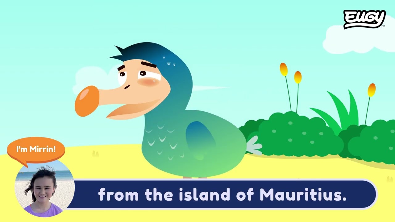 EUGY Dodo Instruction Video