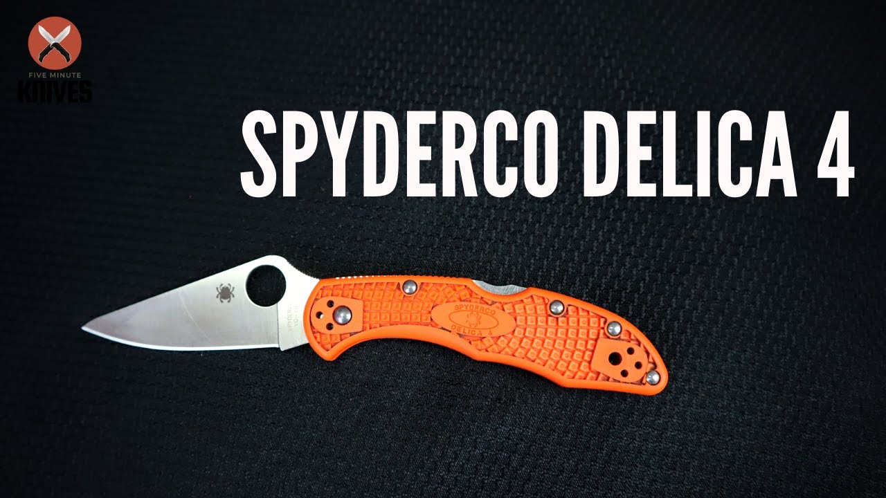 Spyderco Delica - Still the Best EDC Folder in 2025?