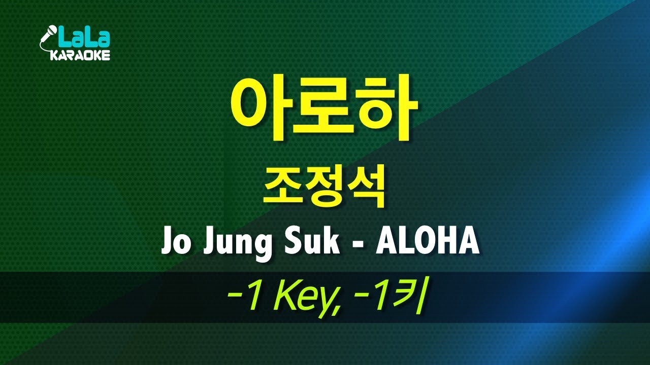 조정석(Jo Jung Suk) - 아로하(ALOHA) (슬기로운 의사생활) (-1키) 노래방 mr LaLaKaraoke Kpop