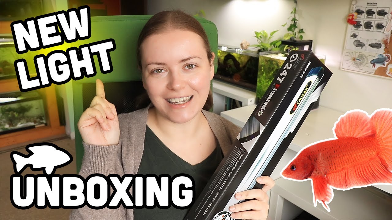 Finnex Planted+ 24/7 ALC 🌱 стоит ли оно того?
