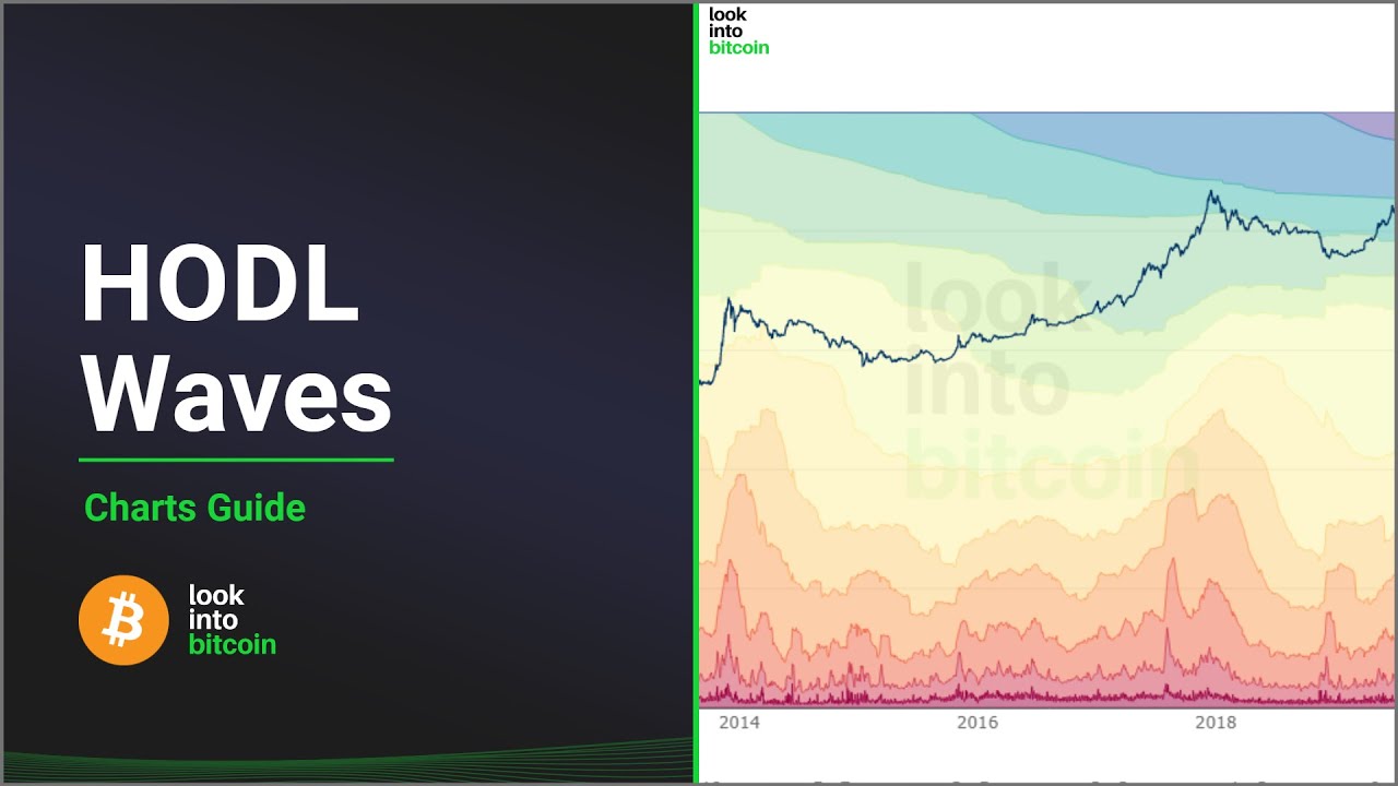 Волны HODL биткоина