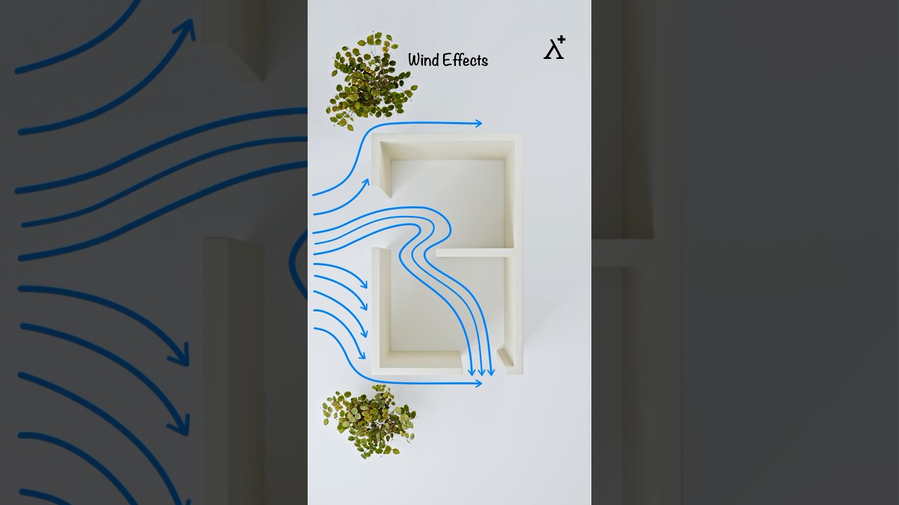 How House Openings Shape Indoor Wind Flow