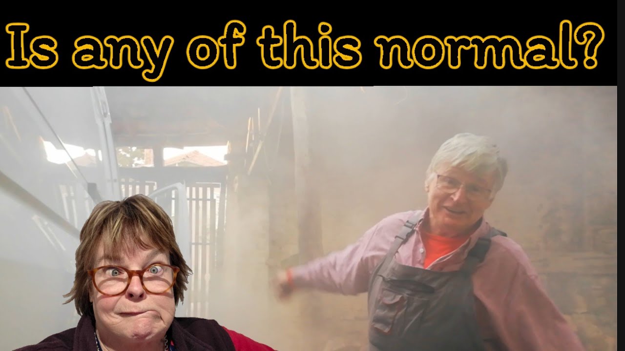 Van life Bulgaria - what does'normal' even mean? 