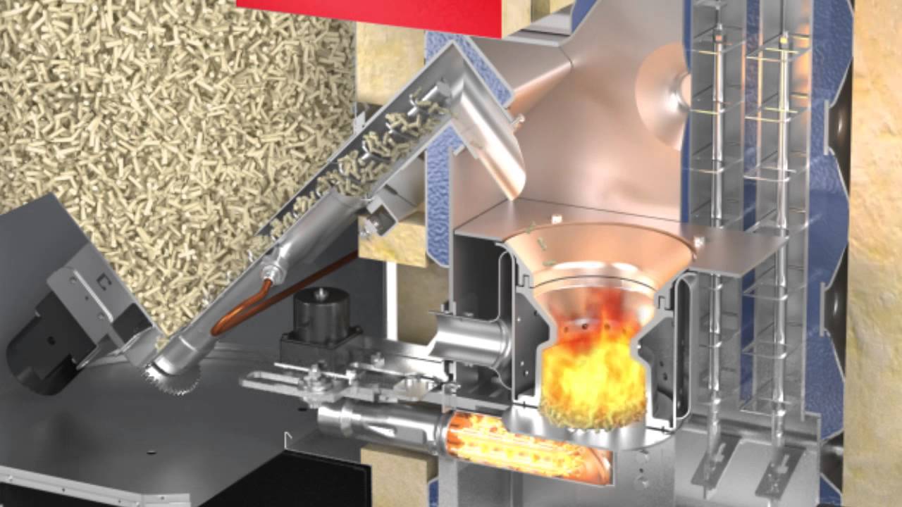 BioWIN 2 Animation
