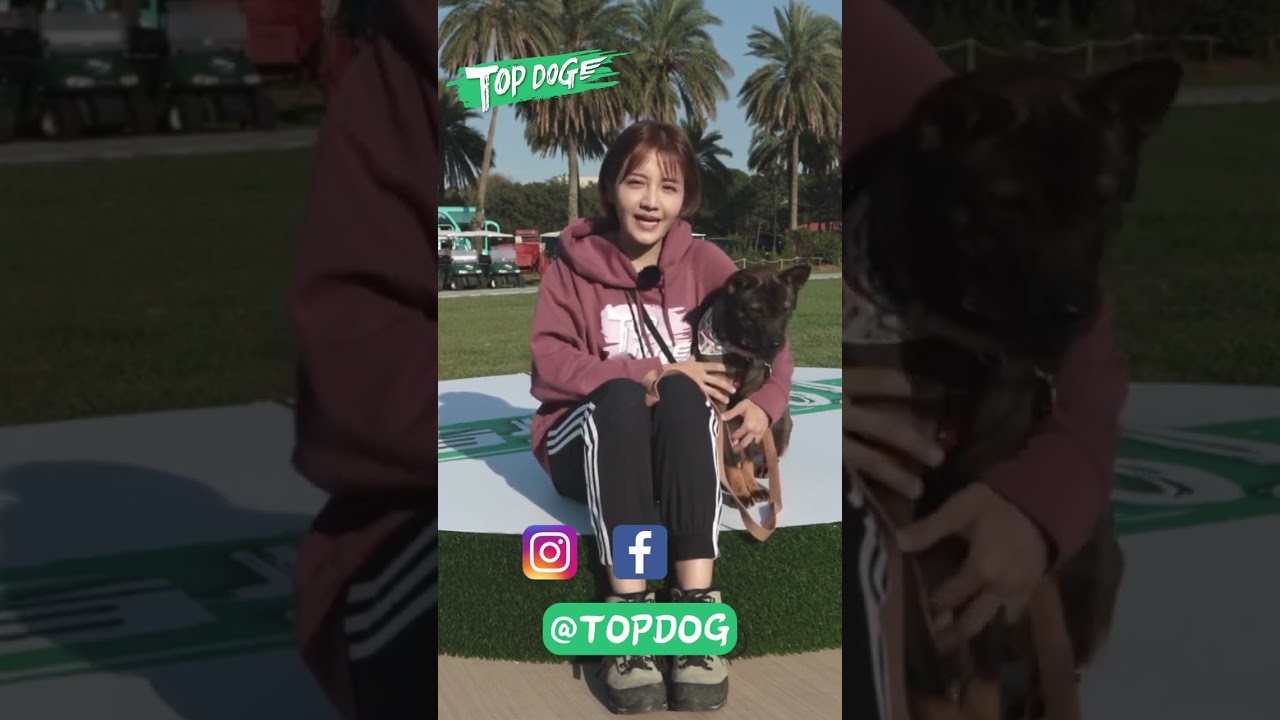 🐶米妮：1/4領養快閃 等你帶我回家🎀  