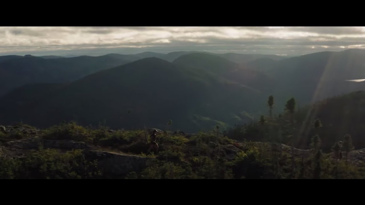 Video Recap UTHC 2021