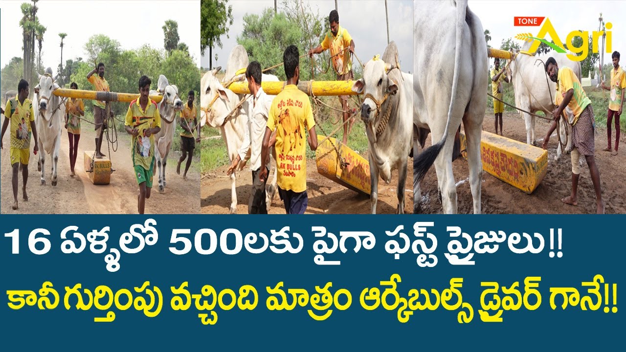 RK Bulls Driver | 16ఏళ్ళల్లో 500లకు పైగా ఫస్ట్ ప్రైజులు..! కానీ గుర్తింపు వచ్చింది మాత్రం Tone Agri