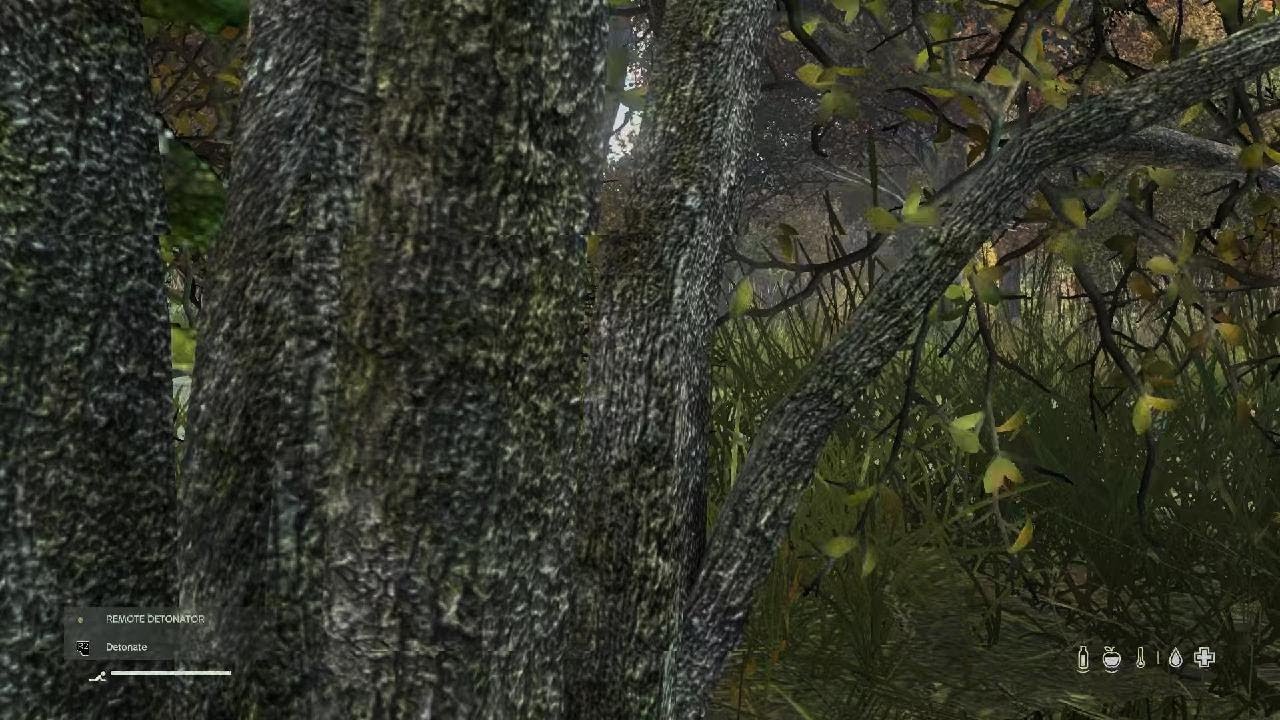 DayZ_20260228234636