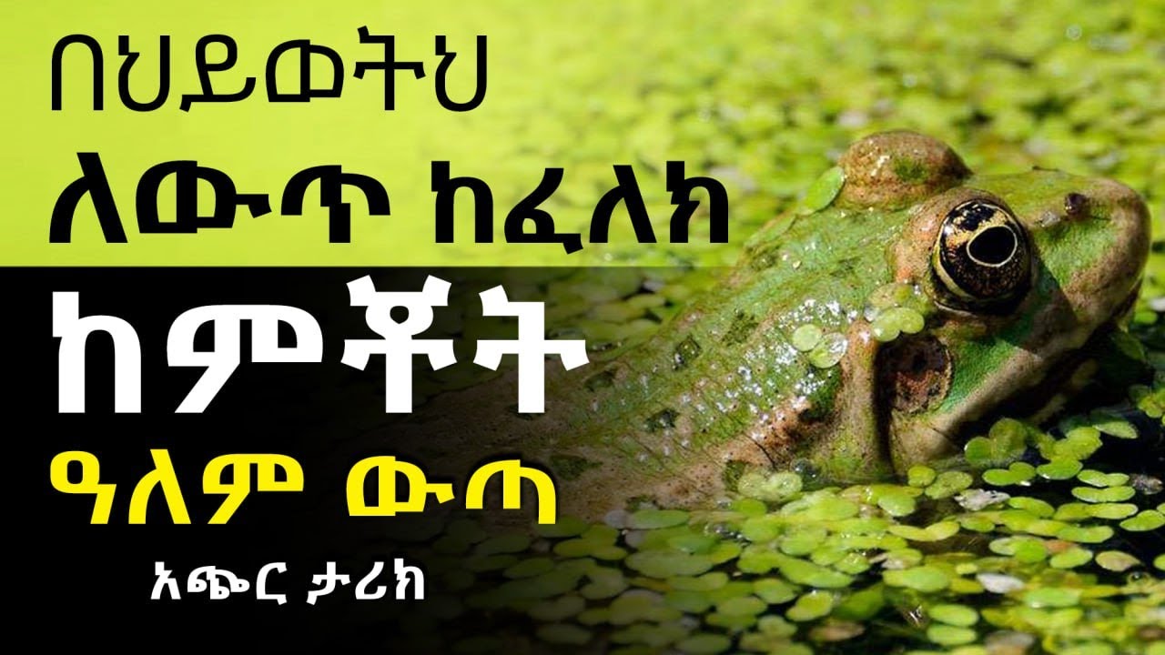 በህይወትህ ለውጥ ከፈለክ ከምቾት አለም ውጣ|አጭር ታሪክ|Inspire ethiopia