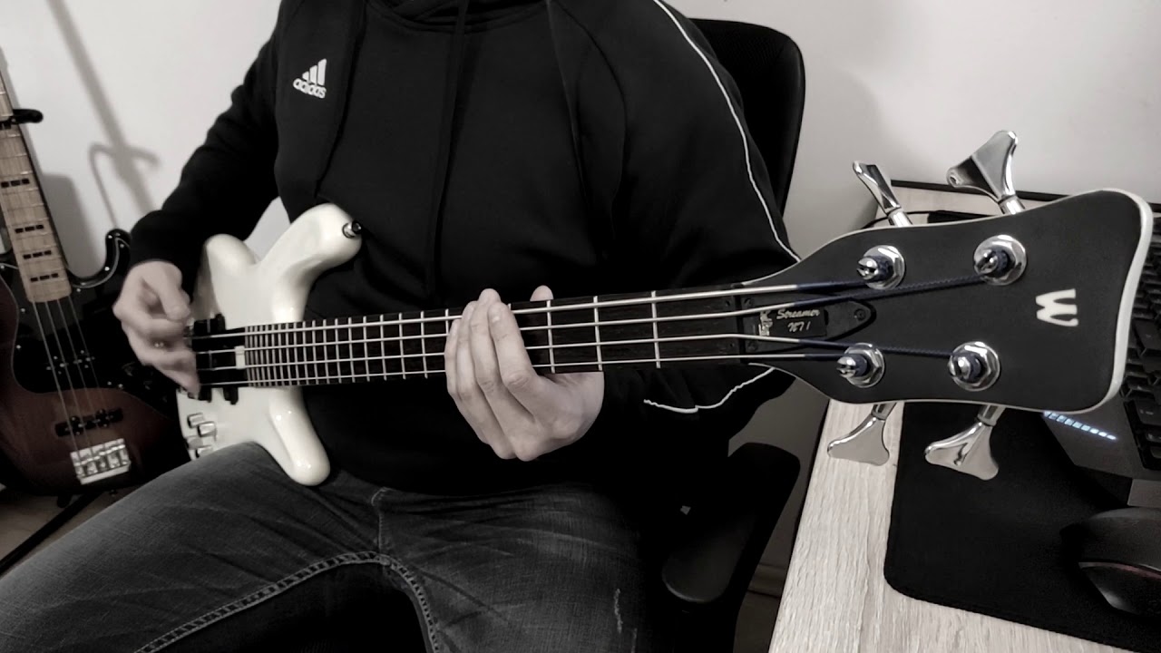 Pantera - I'm Broken [Bass Cover]