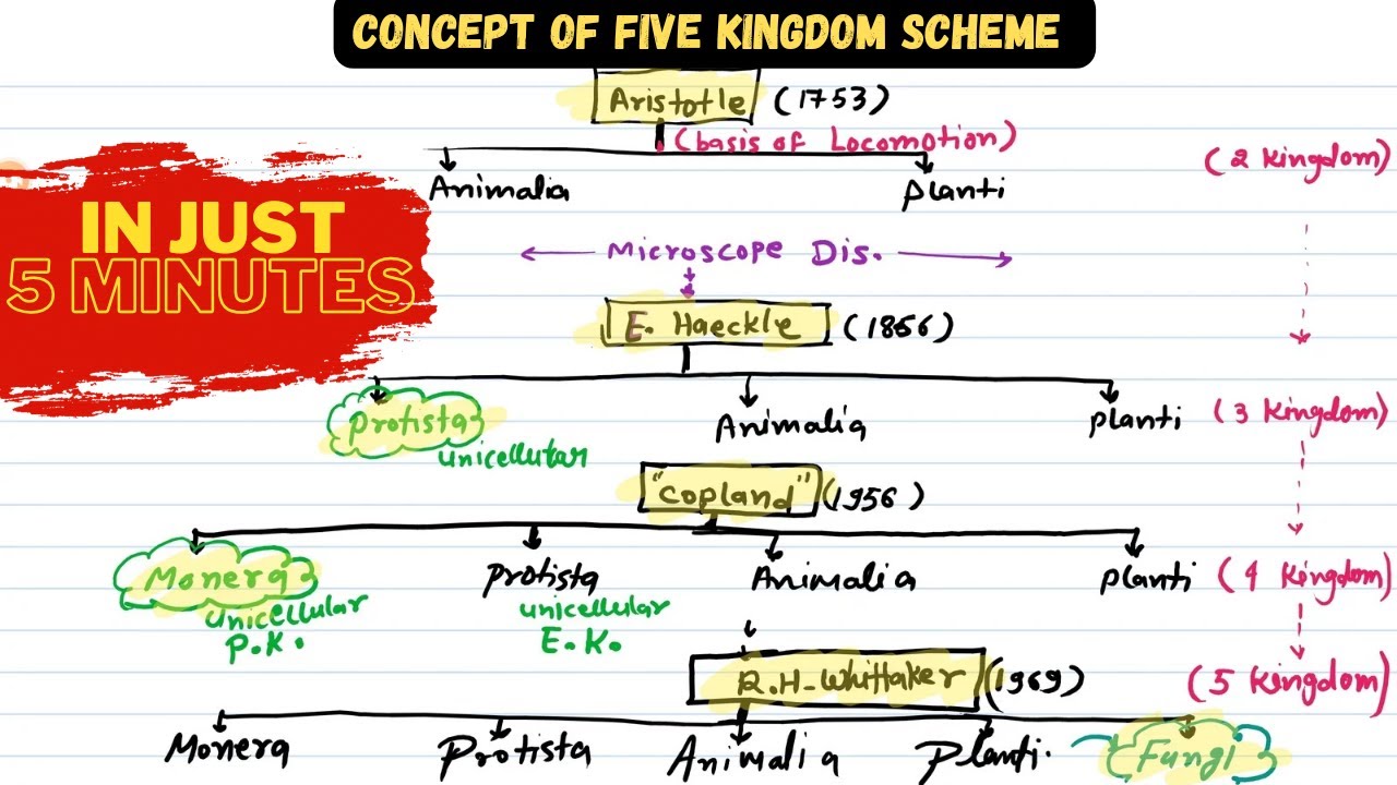 Concept of five kingdom scheme | five kingdom scheme bsc 1st semester mgsu.