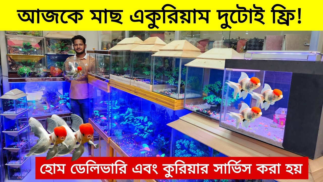 Aquarium Fish Price 2025 |🐠🐠Aquarium Fish Price | Aquarium | Aquarium Fish Price In BD 2025🐠🐠