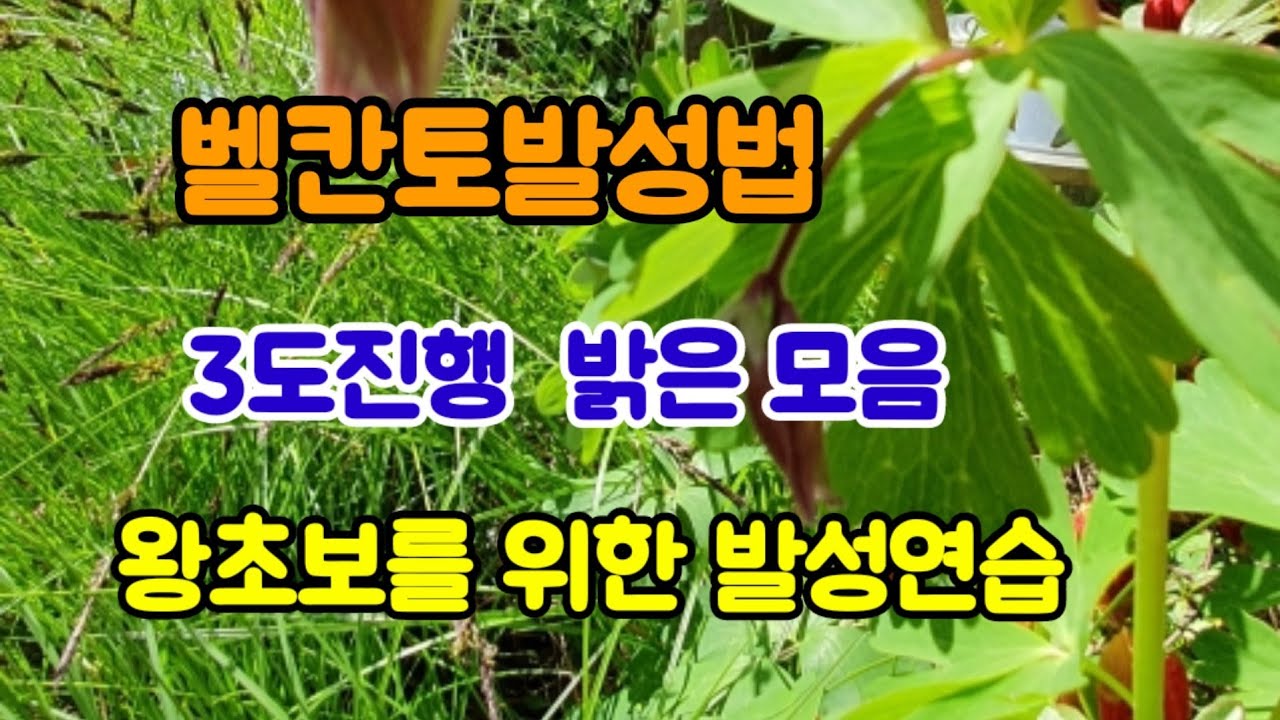 제12. 3도 진행 밝은 모음 공명 연습 왕초보를 위한 벨칸토 발성법