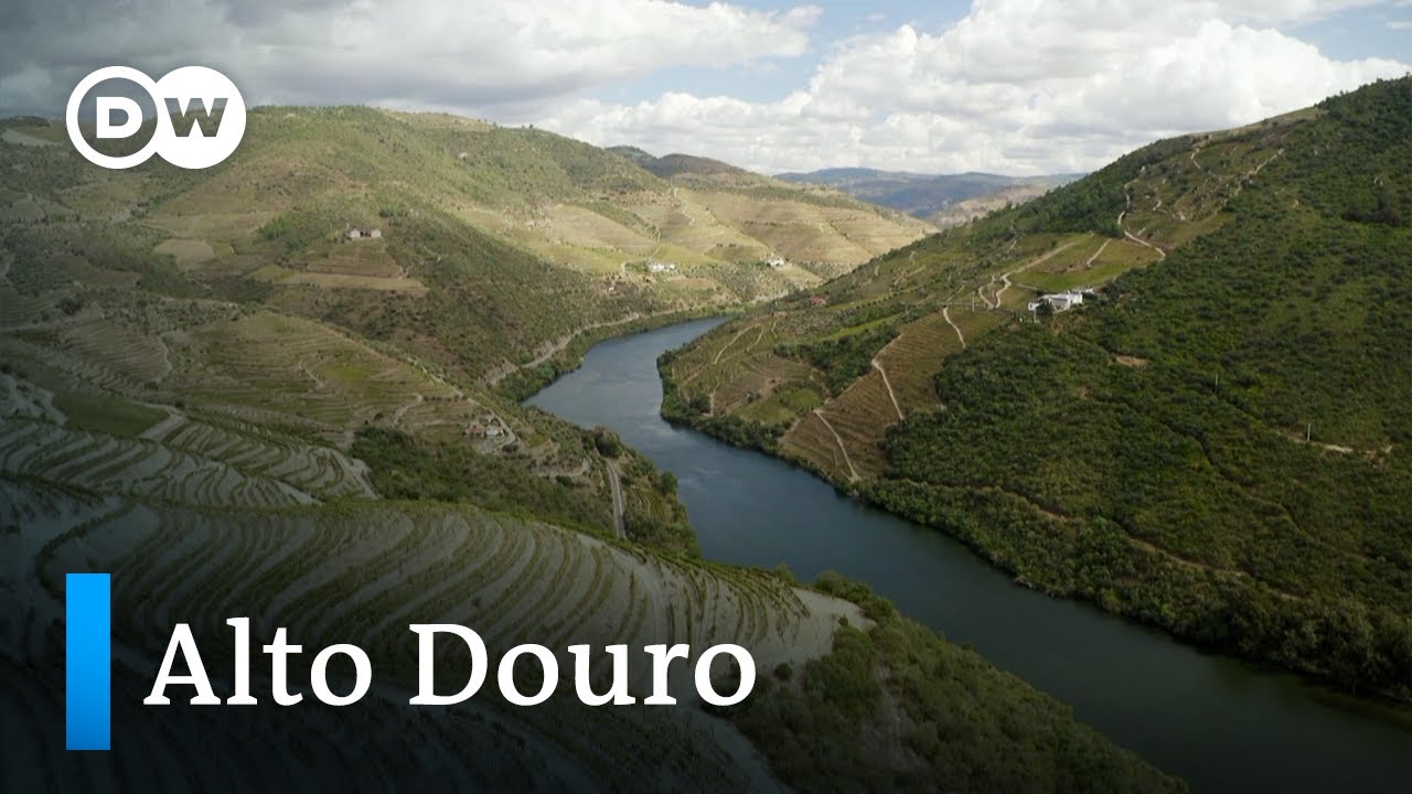Alto Douro: Die älteste Weinregion der Welt | Europa maxximal