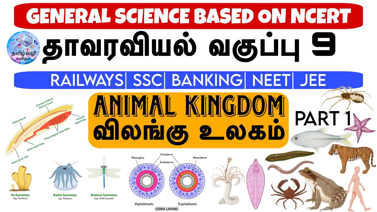 ANIMAL KINGDOM (விலங்கு உலகம்)| BOTANY(தாவரவியல்) CLASS 9 | CLASSIFICATION OF ORGANISMS IN TAMIL