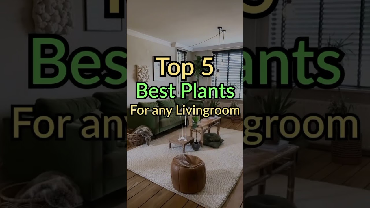Make your living room fresh and live #3d #home #architect #interiordesign #livingdesign