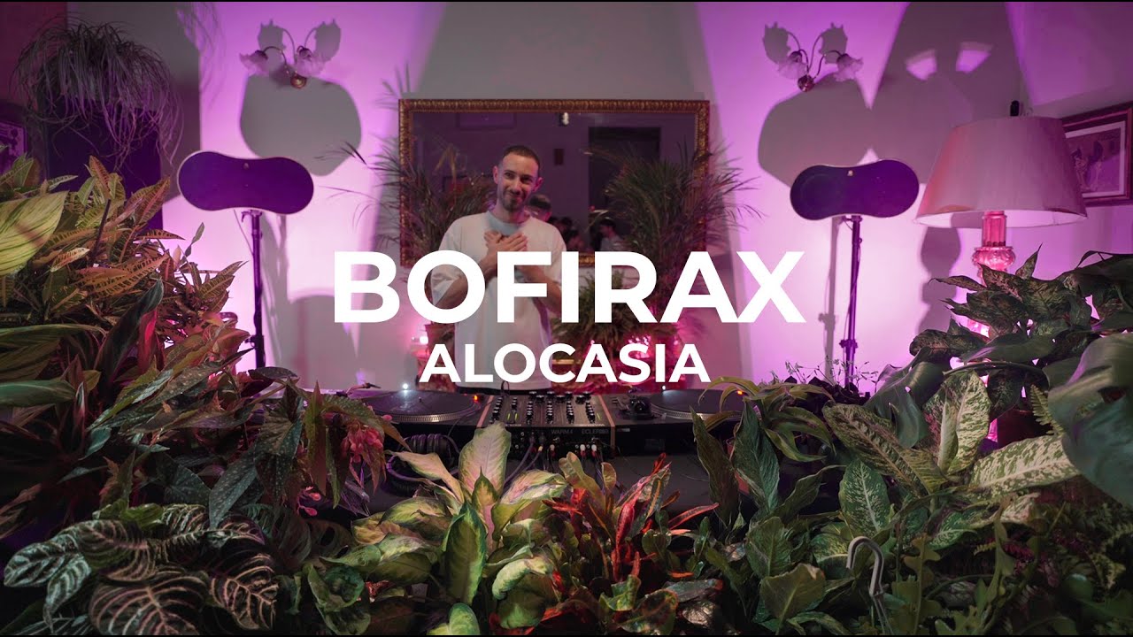 Selected electronic tunes by Bofirax at Mansion - Alocasia TV Barcelona
