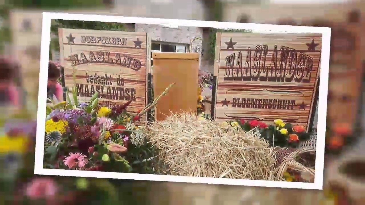 Varend Corso Westland 2017 - Corsoboot Maasland (33)