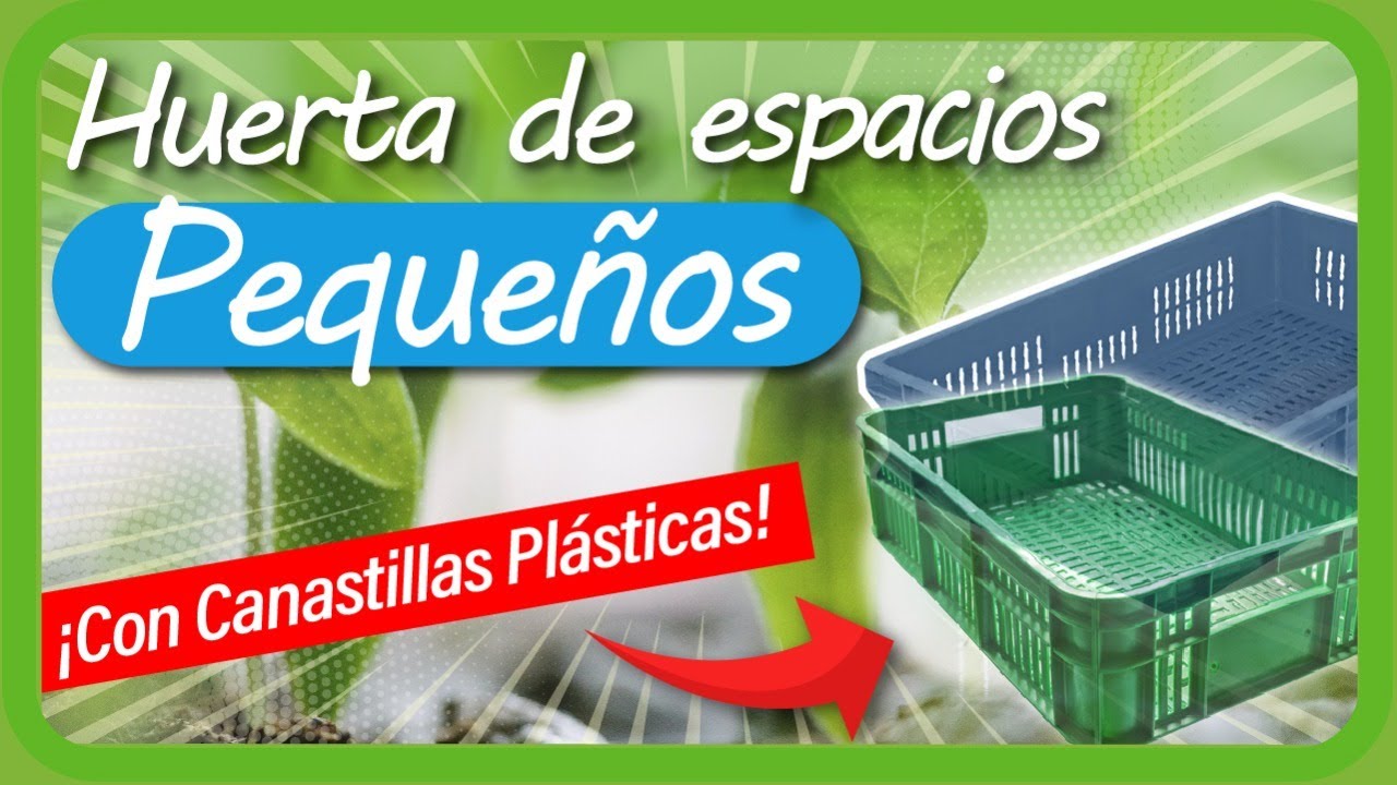 Cómo hacer una HUERTA CASERA en poco espacio usando CANASTAS PLÁSTICAS / PROYECTO CULTIVOS URBANOS