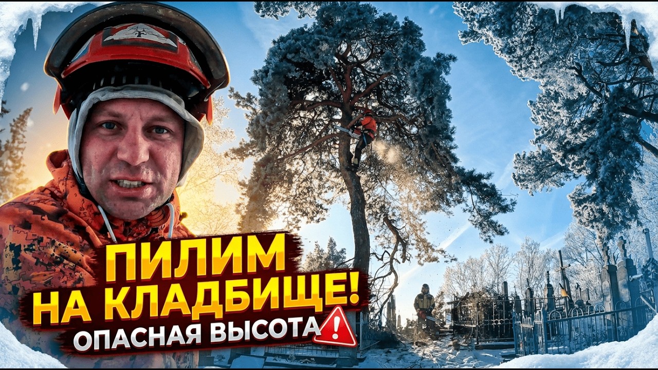 Экстремальная зимняя арбористика на кладбище