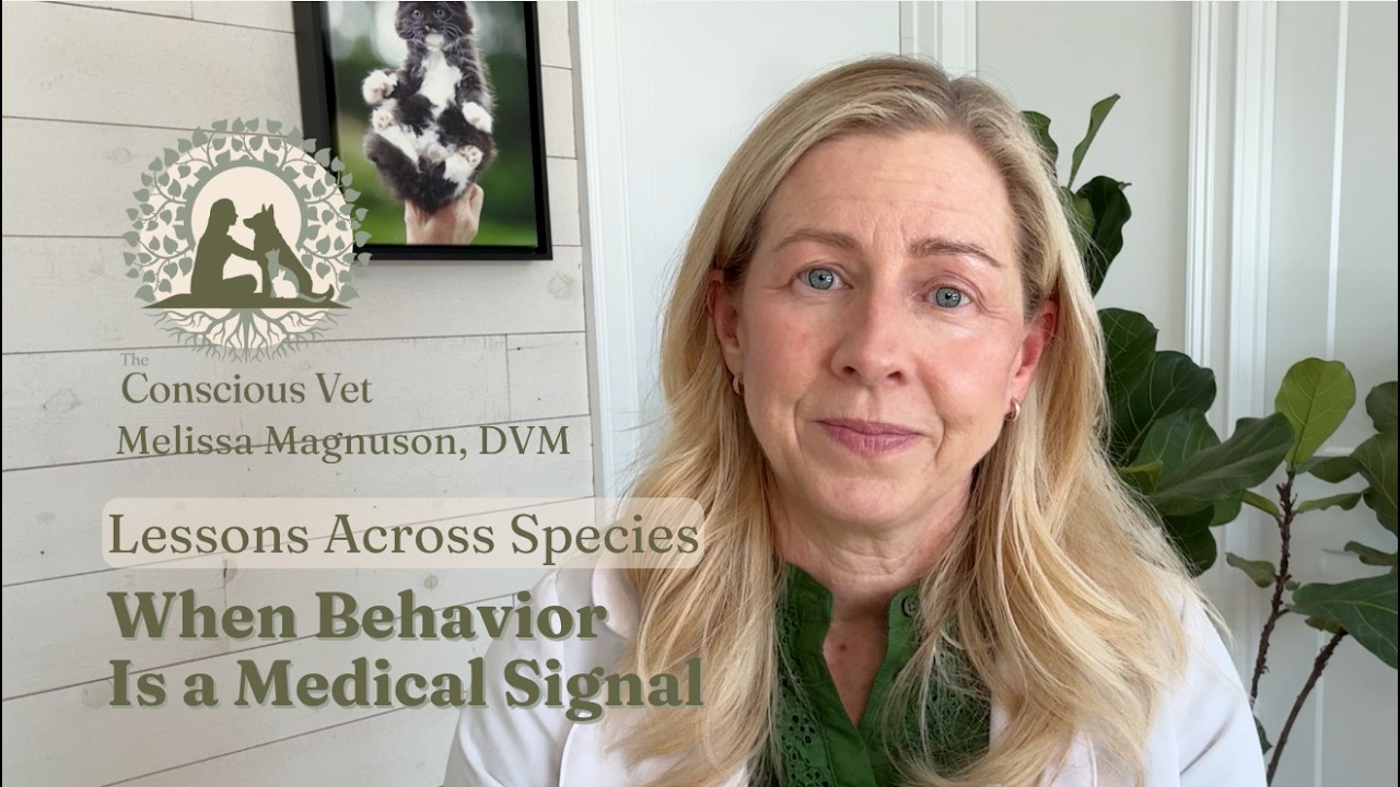 Lessons Across Species: When Behavior Is a Medical Signal