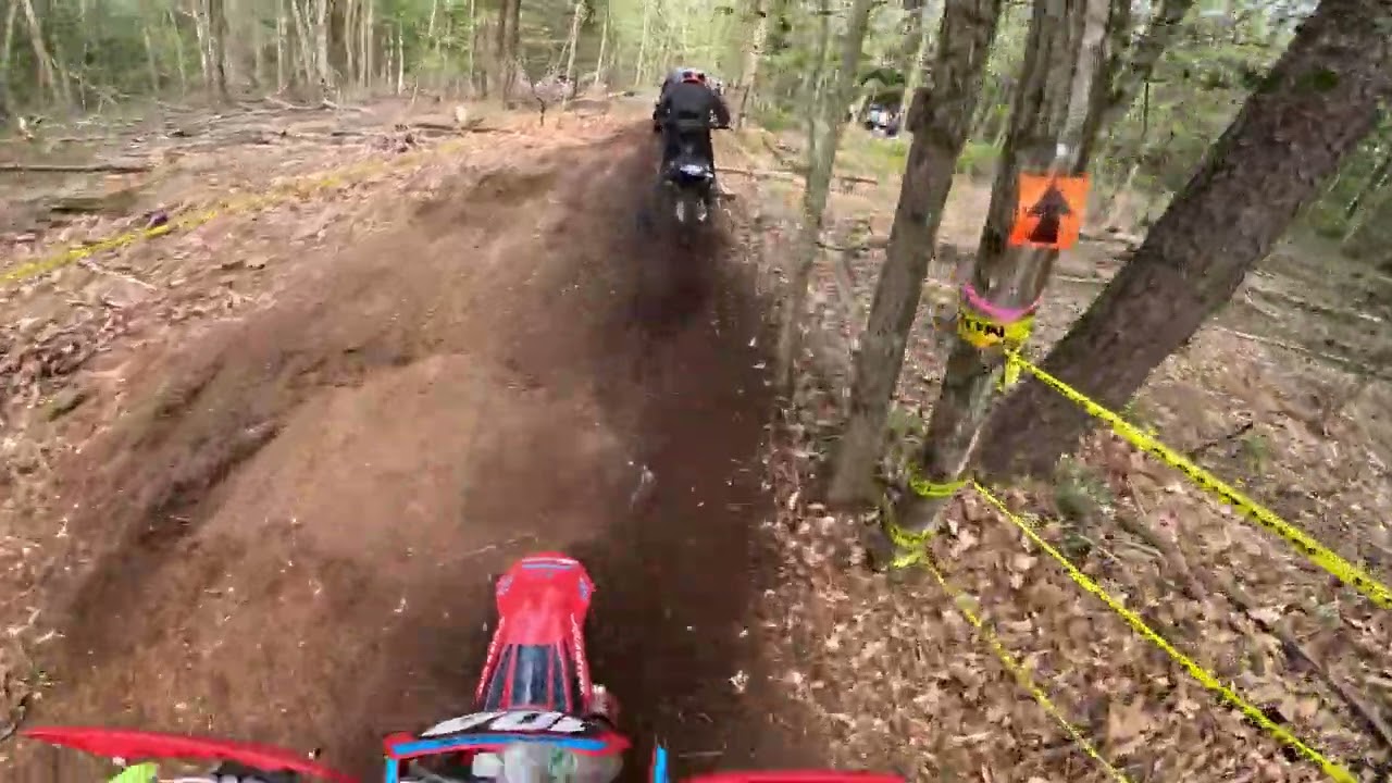 NETRA Moose Valley 2024