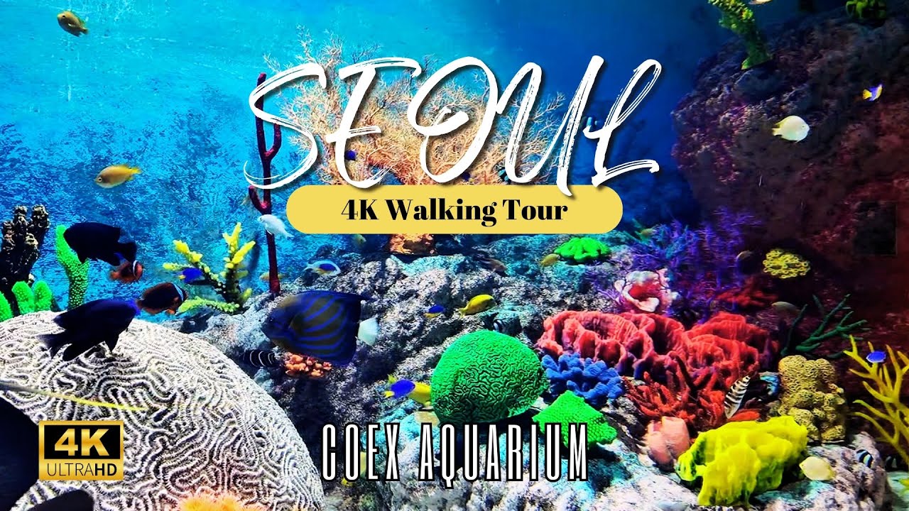 COEX Aquarium: A Journey into the Mystical Underwater World 코엑스 아쿠아리움
