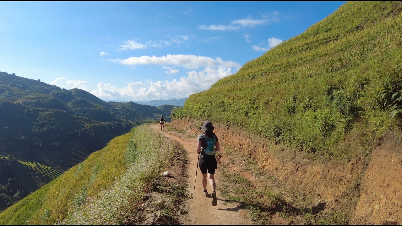 Chạy trail 25Km ở Mù Cang Chải - Chạy giữa mùa vàng Mucangchai Ultratrail 2023