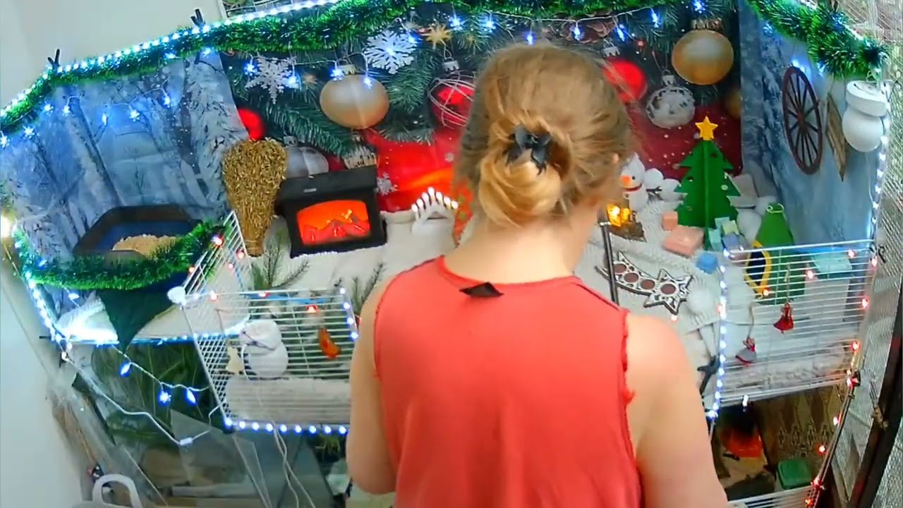 Pikakelaus marsujen juhla avastuksen laittamisesta 24-25.12. 