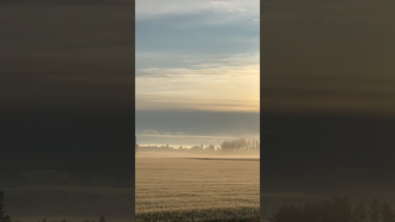 Siisti tyyli. Mit&auml; teet ty&ouml;kses? #kannastofilms #nobraaptoday  #finland #suomi #rekka #fyp