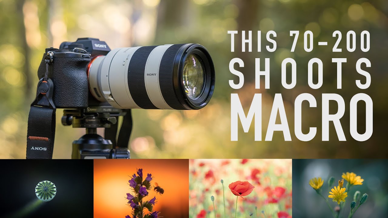 Sony 70-200 f/4 Macro для съемки природы и пейзажей!
