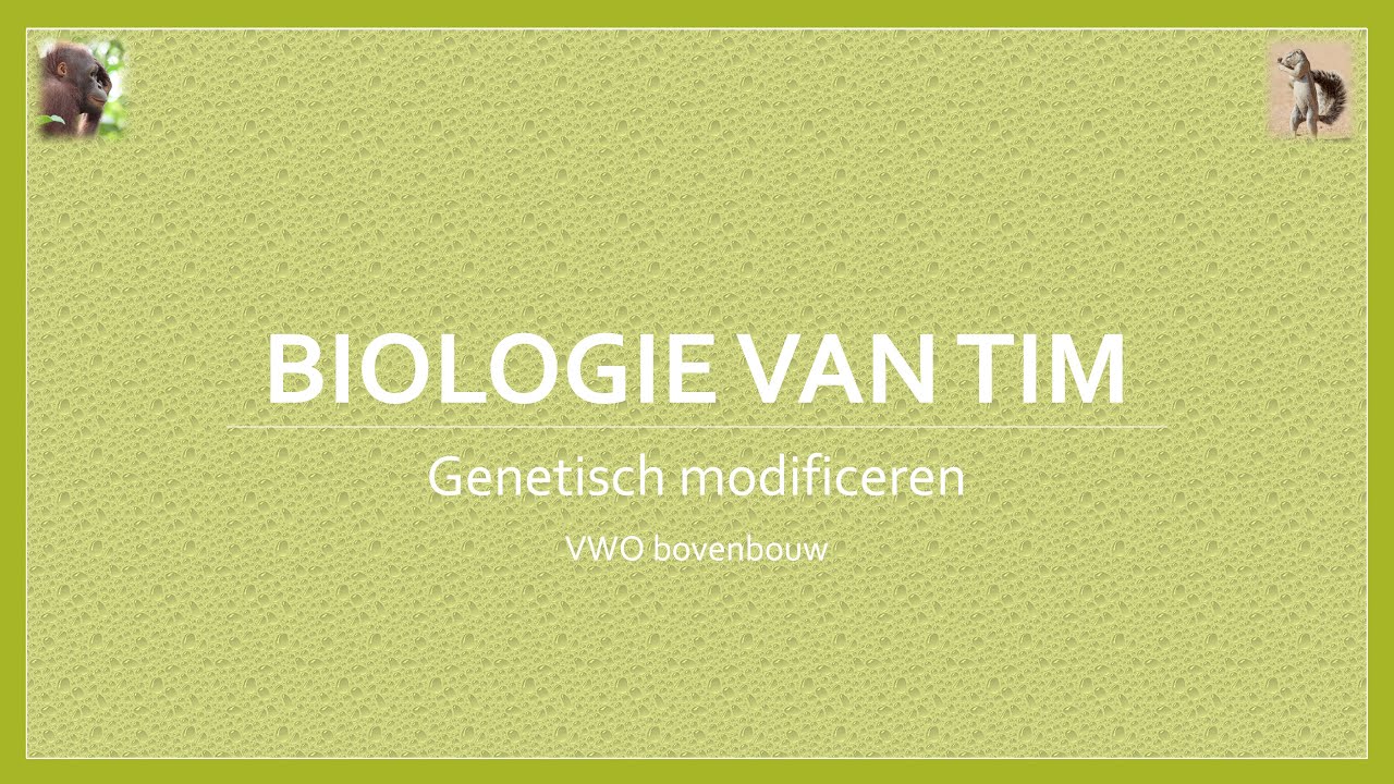 Biologie van Tim - Planten: Genetisch modificeren (bovenbouw)