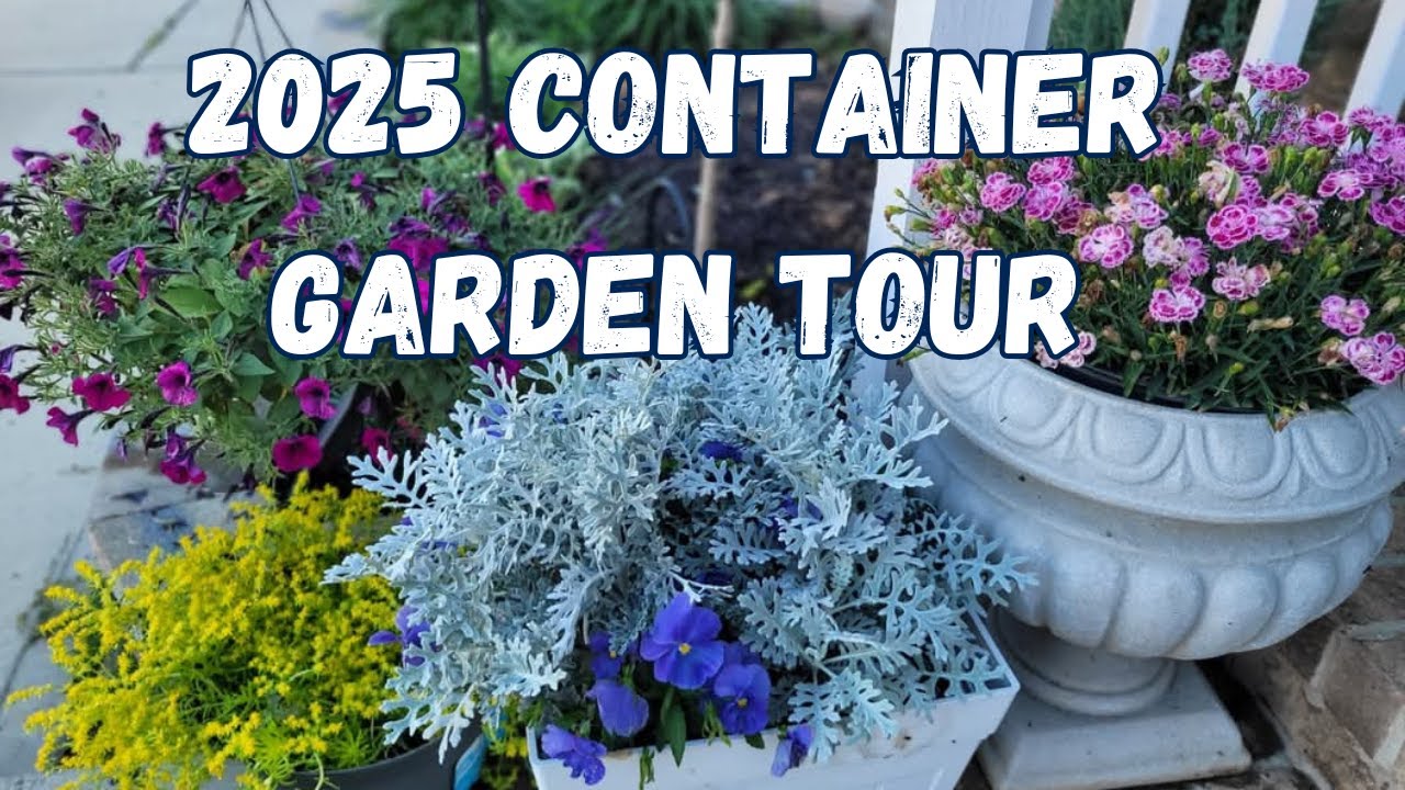 Easy To maintain Container Pants For Small Space Gardens | Container Plants Tour 2025