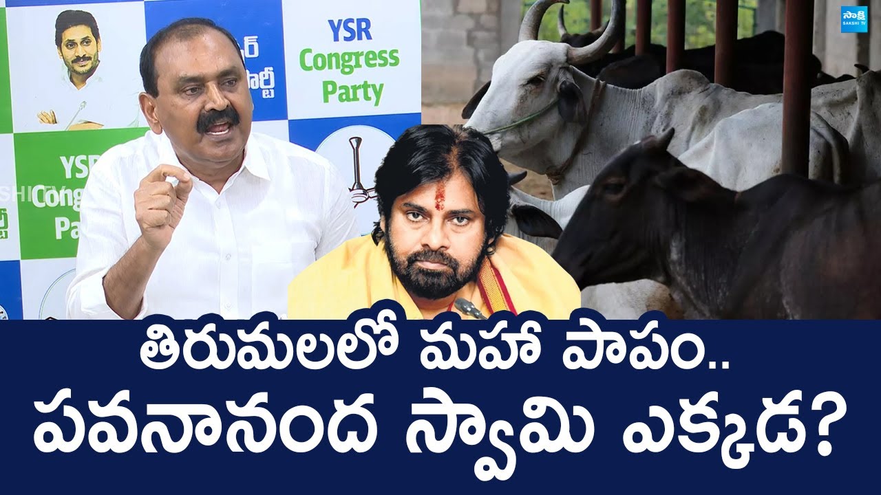 Bhumana Karunakar Reddy Serious Comments on TTD Goshala Issue | Pawan Kalyan | @SakshiTVLIVE