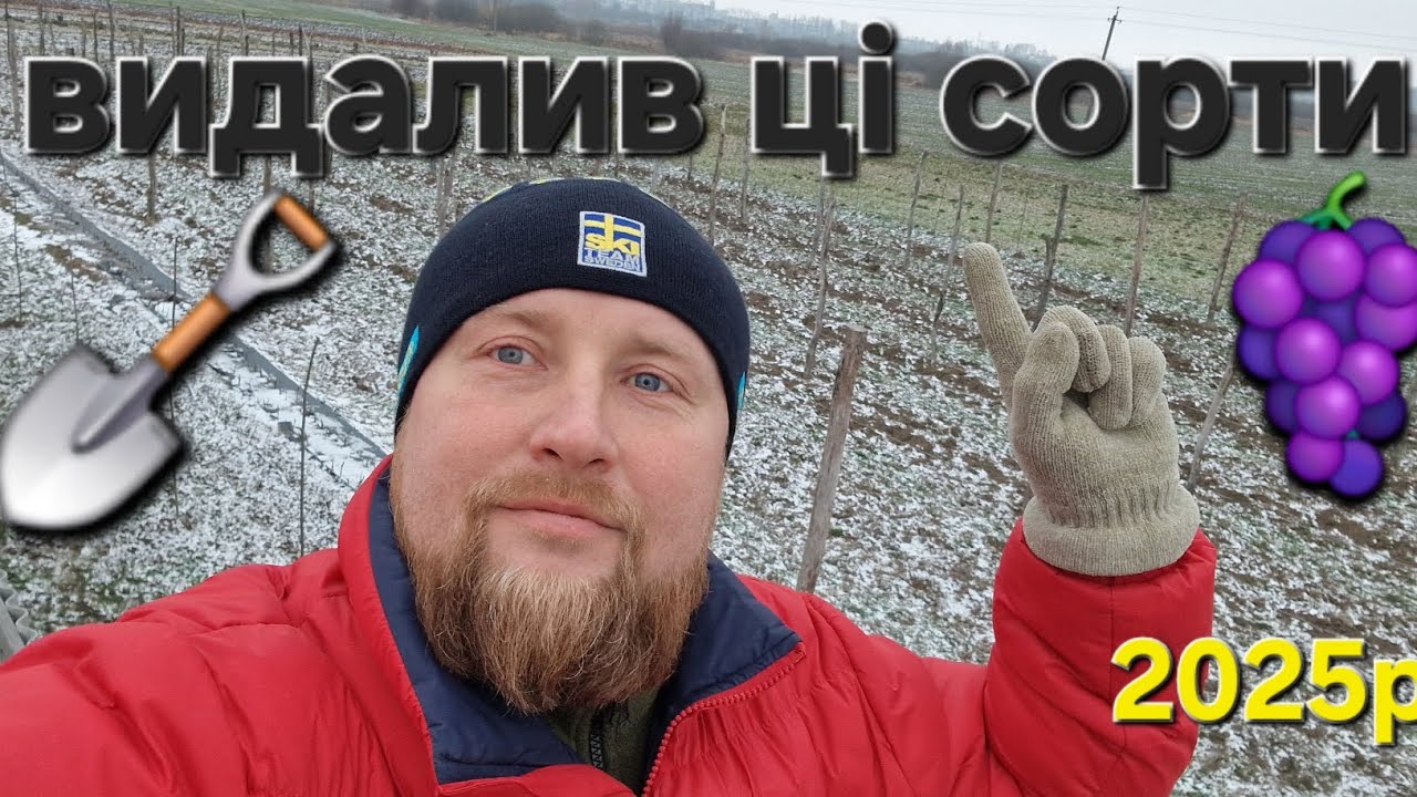 Видалив ці сорти ❌️🍇